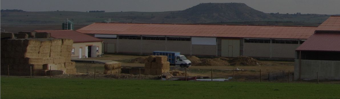 cebadero-zamora
